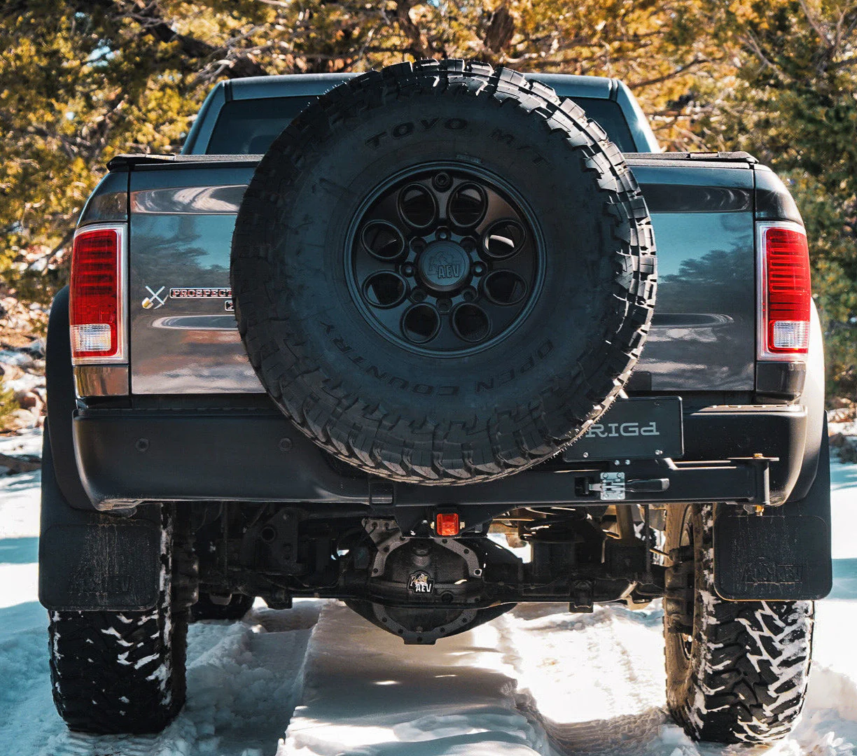 UltraSwing® Mega-Fit Spare Tire Hitch Mount - Image 18